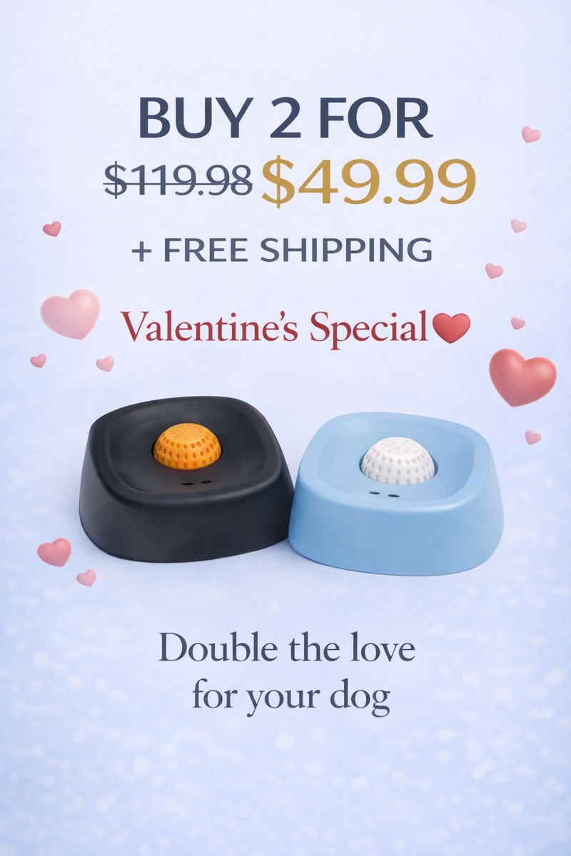 BBOJI CalmPup Anti-Anxiety Slow Feeder Bowl 17 6d703288 ad53 49c1 ad0d 74e488ec45ee md