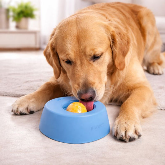 CalmPup Anti-Anxiety Slow Feeder Bowl