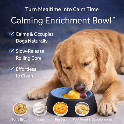 CalmPup Anti-Anxiety Slow Feeder Bowl